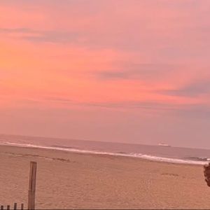 Meet your Posher, Gianna